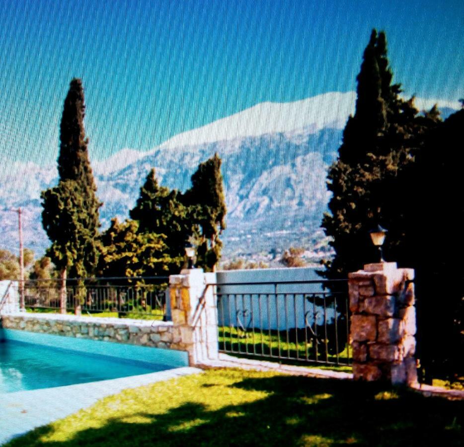 Petrochori Aparthotel Εξωτερικό φωτογραφία